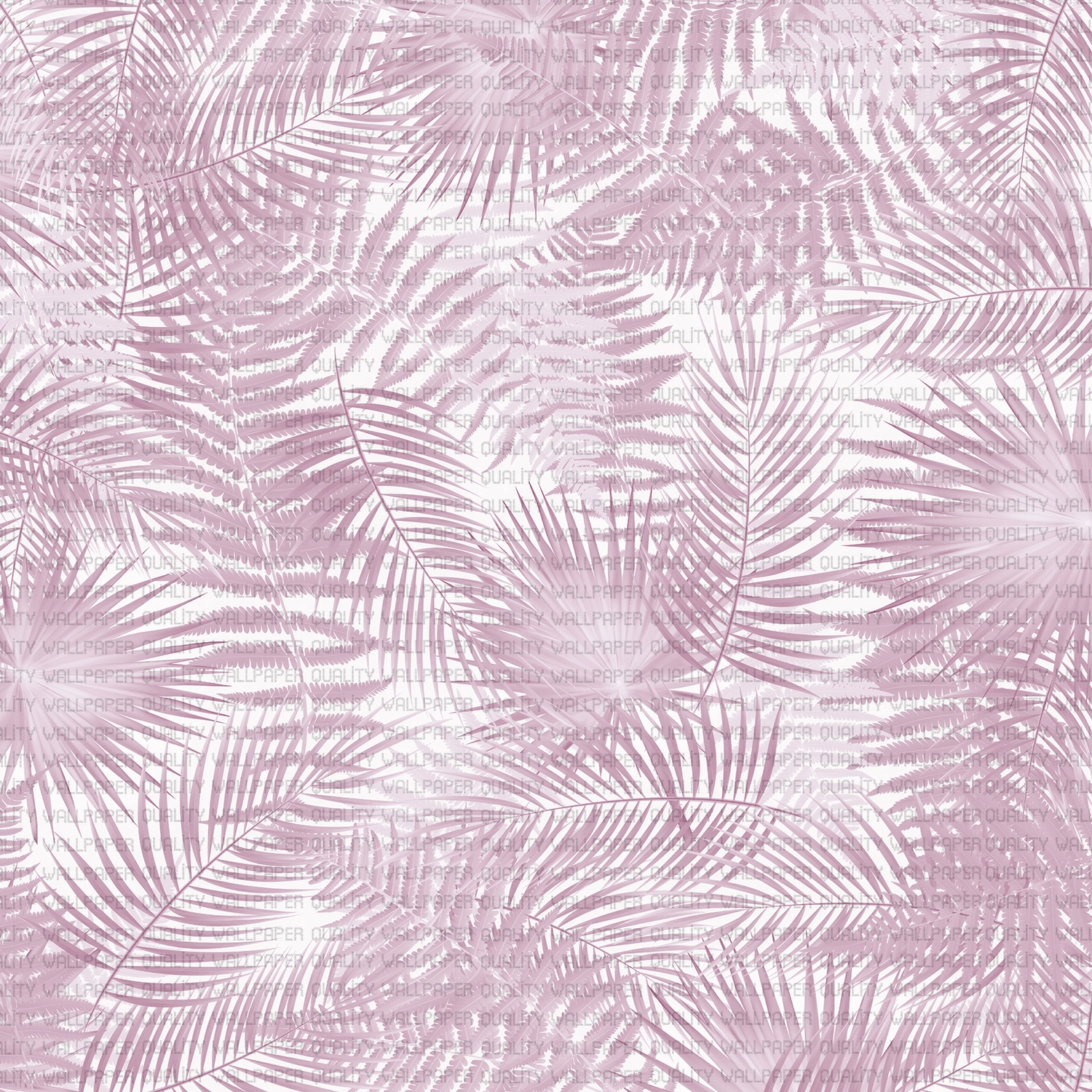 Büyülü Yaprakların Dedikoduları