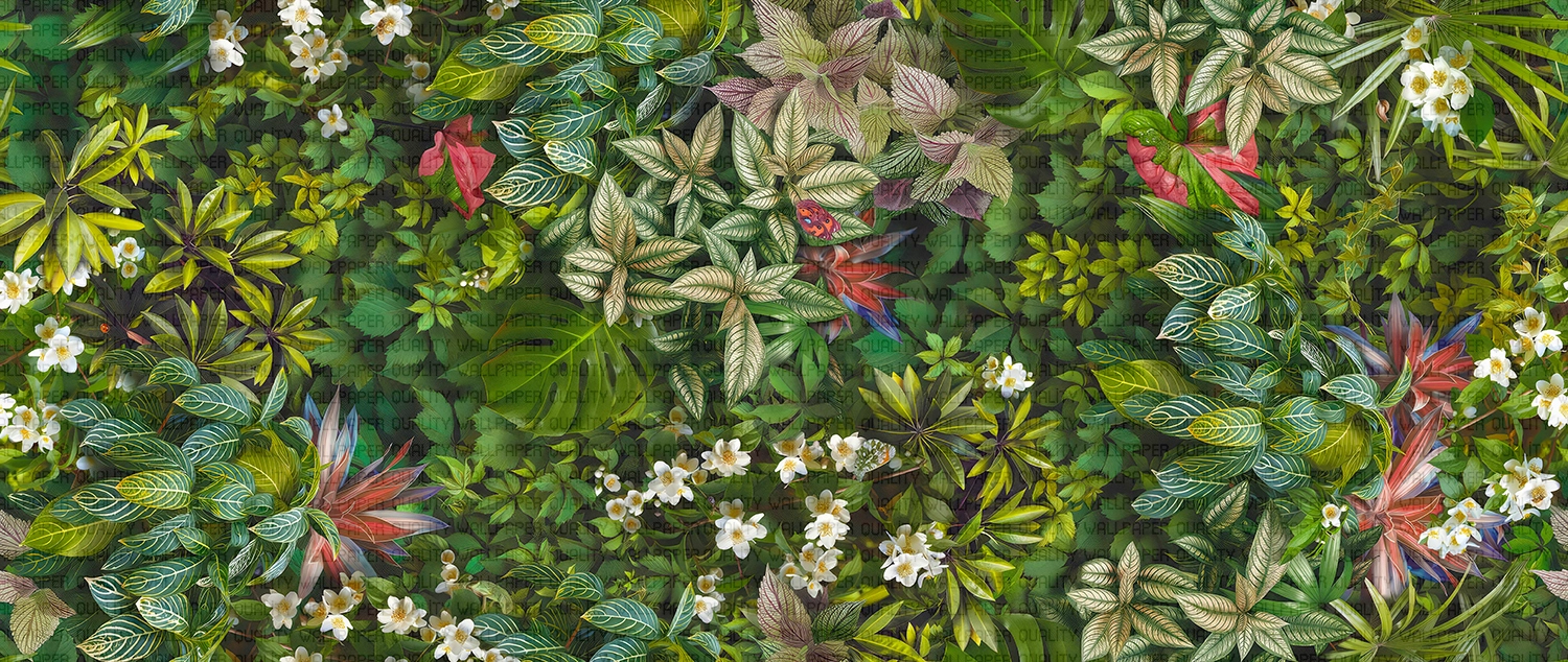 Canlı Renkler ve Zengin Dokularla Doğa'nınn Bitki Enerjisi