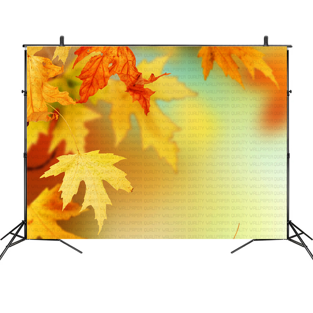 Hüzünlü Sonbahar Yaprakları Fon Kumaş