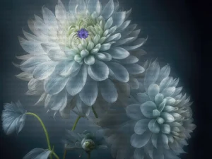 Zarafetin ve Sükunetin İncisi Beyaz Çiçek Runner